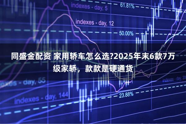 同盛金配资 家用轿车怎么选?2025年末6款7万级家轿，款款是硬通货